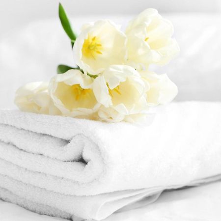Relax Inn Блумсбург Екстер'єр фото